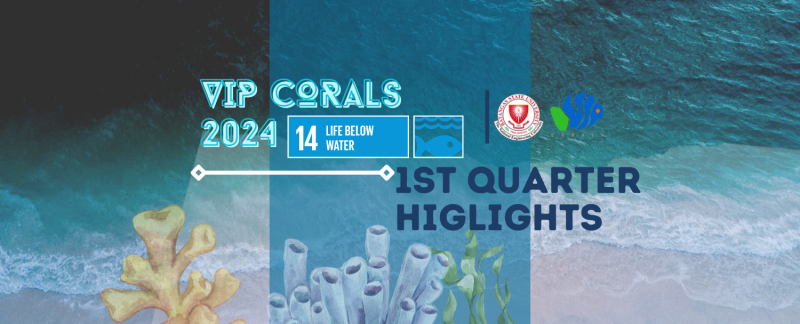 1ST QUARTER HIGHLIGHTS 2024​