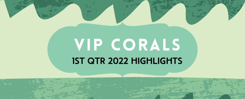 1ST QUARTER HIGHLIGHTS 2022